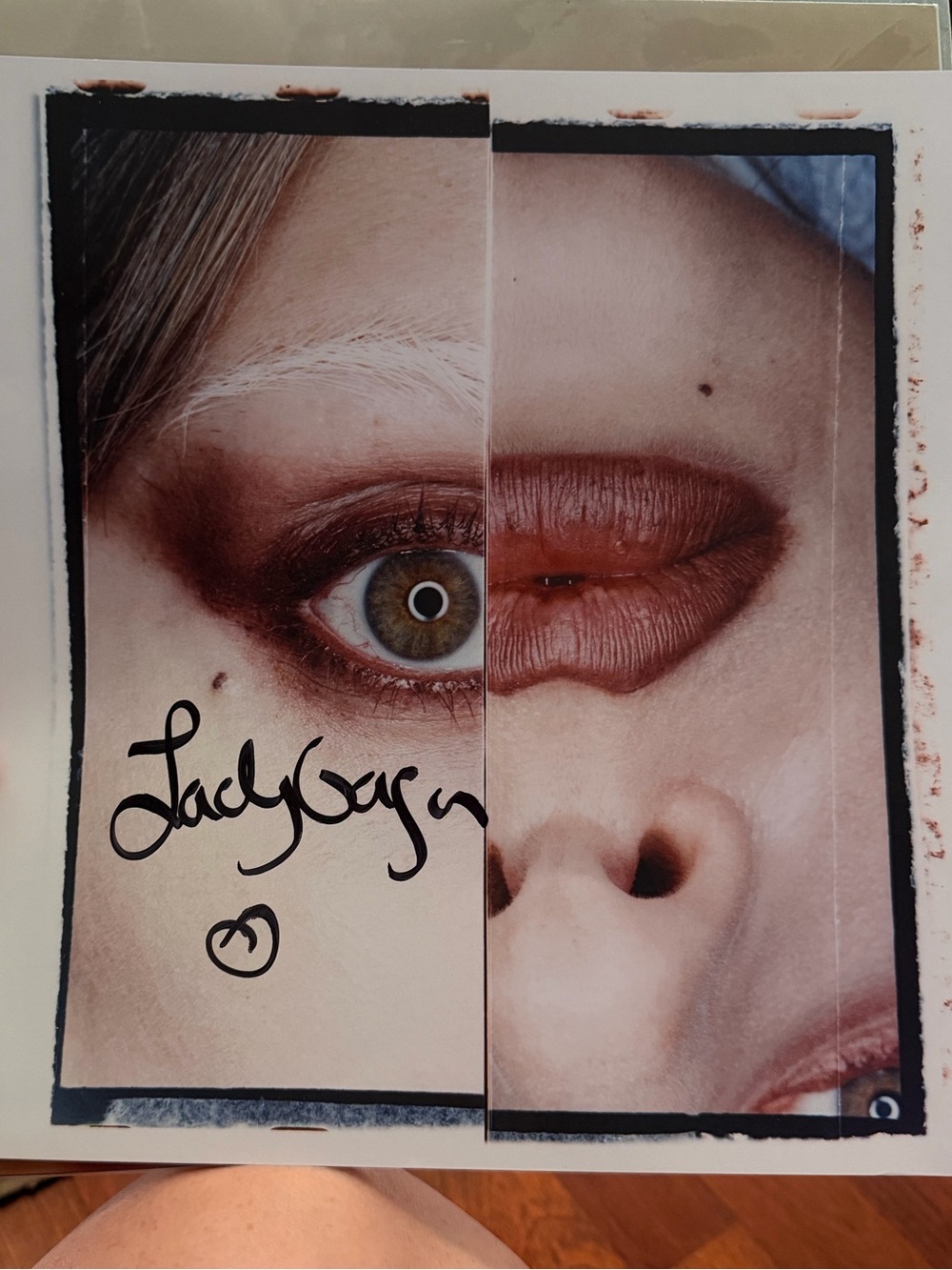 Autographed Mayhem Vinyl Sleeve lady Gaga